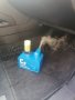 Антибактериално почистване/третиране на неприятни миризми на авто климатици, снимка 2