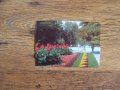 Пощенски картички от Ямбол от 1988 г. - нови , снимка 1 - Колекции - 27966551