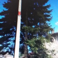 Рязане и кастрене на високи и опасни дървета-абонаментна поддръжкаа , снимка 3 - Градинска техника - 33061758
