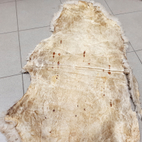 Стара овча кожа, естествена(17.5), снимка 8 - Антикварни и старинни предмети - 44891363