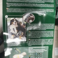 Предпазен колан за кучета за автомобил Zolux последни бройки, снимка 5 - За кучета - 27654987