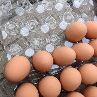 Изкуствени пластмасови яйца за кокошки тежки, снимка 2 - За птици - 40032040