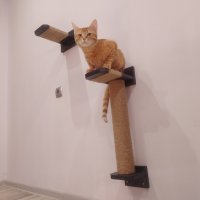 Драскалка за котка на стена , снимка 14 - За котки - 42967634