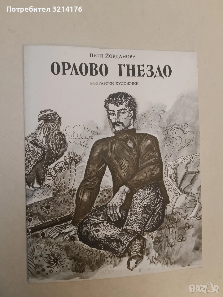Орлово гнездо - Петя Йорданова (1978), снимка 1