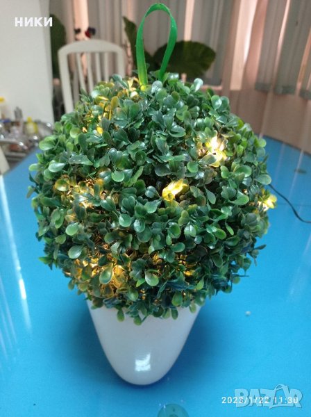 Светещ храст 308, снимка 1