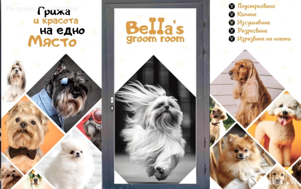 Груминг салон Пазарджик, цялостна грижа за домашни любимци , снимка 1