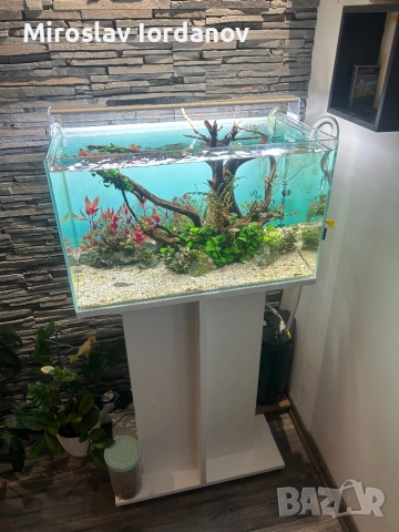 Аквариум с шкаф пълен сет, снимка 4 - Аквариуми - 53290868