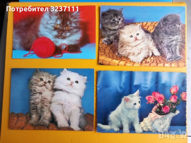 Картички Котки - лот 4