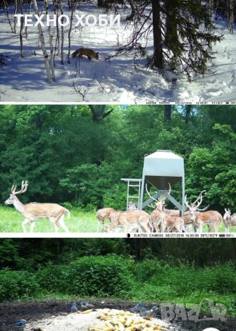 Електронен нашийник за куче , бийпър , ловна камера , Gps проследяване кучета и котки, снимка 18 - За кучета - 33529671