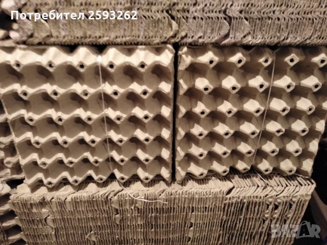 Продавам кори за яйца , снимка 6 - Кокошки и пуйки - 28068248