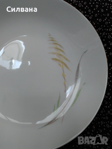 6 чинии, Eschenbach, Bavaria  