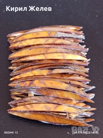 Дамска гривна Кралски седеф разтеглива ХЕНД МЕЙД прекрасна 51384