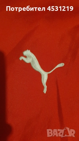 Зимно яке Puma Scuderia Ferrari и анцунг горнище Ферари , снимка 7 - Якета - 52023807