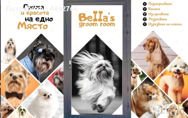 Груминг салон Пазарджик, цялостна грижа за домашни любимци 