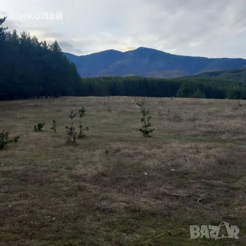 spa-imoti velingrad , снимка 3 - Парцели - 50429562