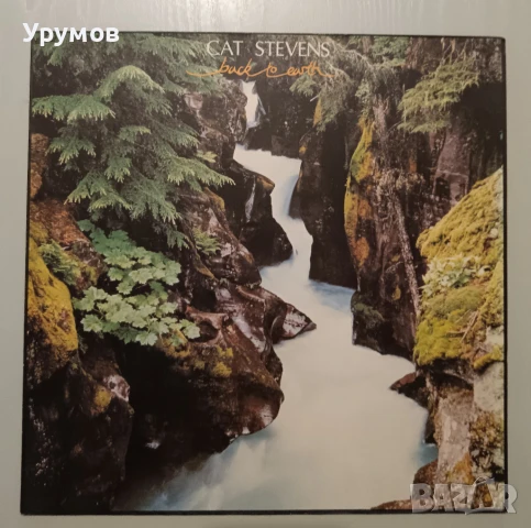 Лот плочи - The Alan Parsons Project, Cat Stevens, Mike Oldfield, Al Stewart, снимка 7 - Грамофонни плочи - 51236373