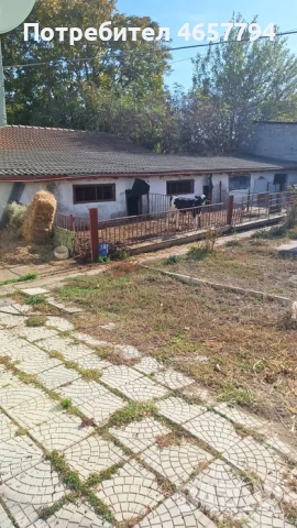 Ферма в Асеновград!  , снимка 2 - Други - 53096472