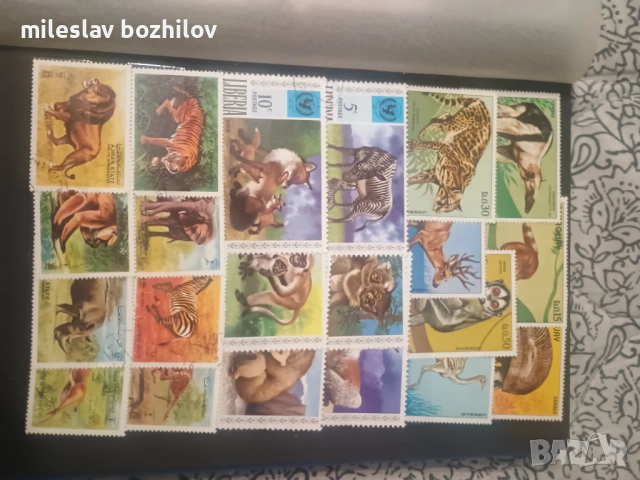 Класьор с марки, снимка 10 - Филателия - 53253096