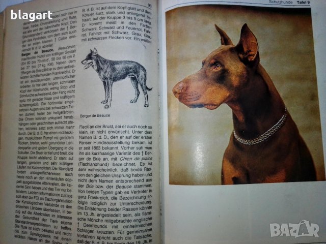"Енциклопедия на кучето"-Германия, снимка 9 - Специализирана литература - 33458448