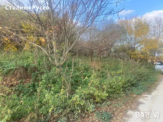 терен / градина / имот / парцел 1620кв.м в с. Ветрен / обл. Силистра - цена 16 600лв - двор 1620кв С, снимка 5 - Парцели - 49801432