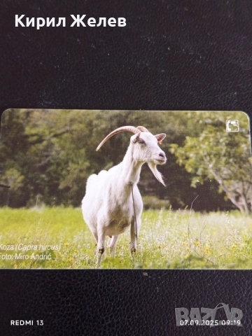 Три фонокарти серия ЖИВОТНИ,НАЦИОНАЛНИ ПАМЕТНИЦИ редки за КОЛЕКЦИЯ ДЕКОРАЦИЯ 50911, снимка 5 - Колекции - 51630390