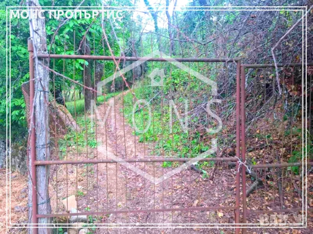 Две къщи в един парцел в с. Малки Българени, з-ще с. Царева ливада, общ. Дряново, обл. Габрово, снимка 4 - Къщи - 51248674