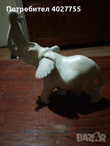   Слонче камък голямо. Кения