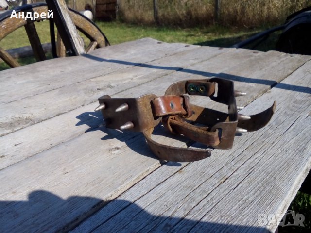 Стари котки #2