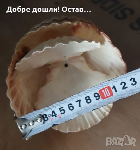 Кукла, декорация от големи миди 23 см. висока, снимка 5 - Декорация за дома - 51326658