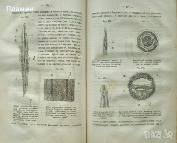 Животньiе паразитьi и болезни Э. К. Брандтъ /1873/, снимка 7 - Антикварни и старинни предмети - 53188537