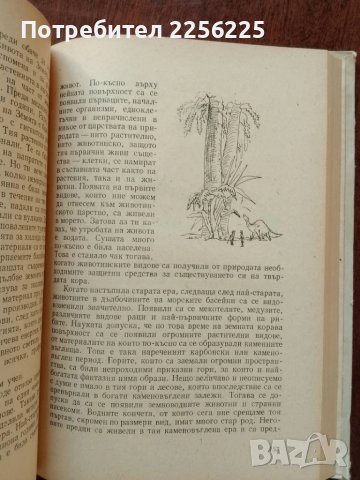 Астрономия за народа, снимка 3 - Художествена литература - 51023214