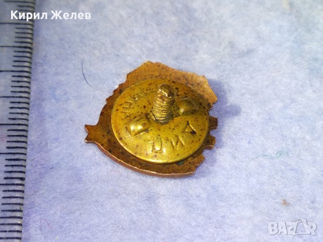 ДКМС Стара ЕМАЛИРАНА БРОНЗОВА на ВИНТ - ДИП КОМУНА Рядка СОЦ НРБ ЗНАЧКА 35387, снимка 4 - Колекции - 39810066