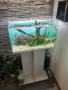 Аквариум с шкаф пълен сет, снимка 4