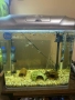 Продавам фабричен аквариум RS420B, снимка 1