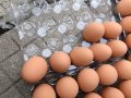 Изкуствени пластмасови яйца за кокошки тежки, снимка 2