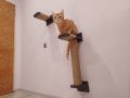 Драскалка за котка на стена , снимка 14