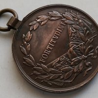 Австрийски Медал Карол, снимка 6 - Антикварни и старинни предмети - 32358379