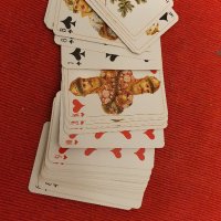 Карти за игра сувенирни, снимка 11 - Карти за игра - 43041154