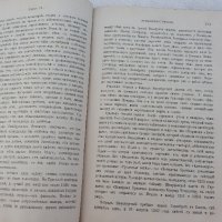 Книга от 1893 година-История на немската литература, снимка 5 - Антикварни и старинни предмети - 28379514