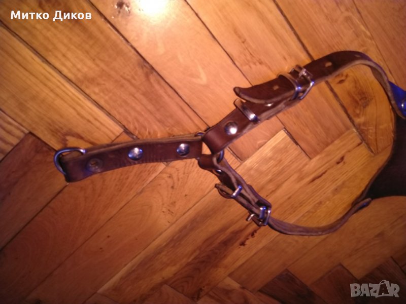 Каишка некаква за куче-естествена кожа, снимка 1