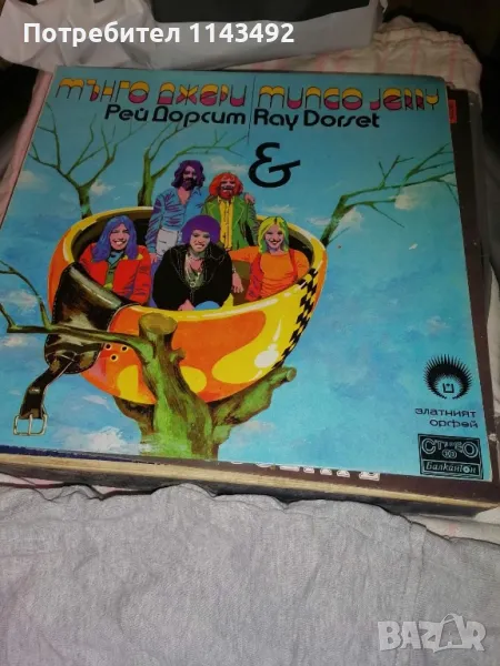 Грамофонни плочи, снимка 1