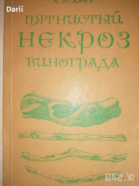 Пятнистый некроз винограда- А. И. Юрку, снимка 1