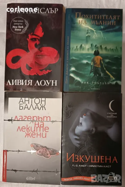 Ливия Лоун - Бари Айслър Похитителят на Мълнии - Рич Риърдън Лагерът на леките Жени Изкушена, снимка 1