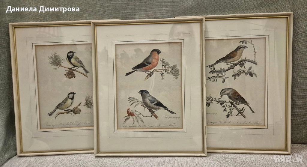 Три рамкирани принта с красиви птици, снимка 1