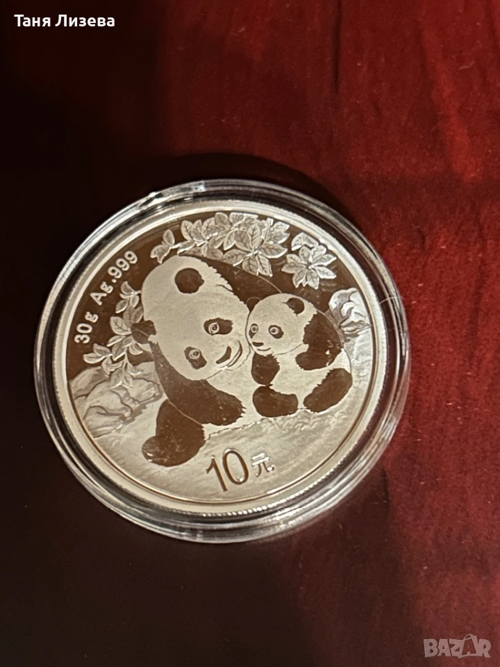 Панда 24 г, снимка 1