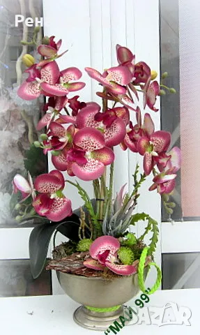 Композиция с орхидеи, снимка 1