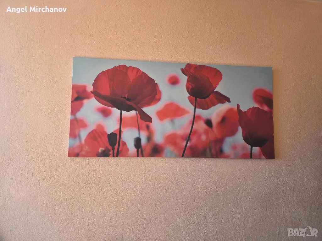 картина макове, снимка 1