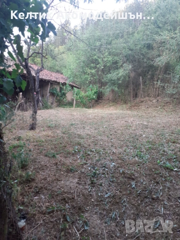 Продава КЪЩА област Кюстендил, с. Невестино, снимка 14 - Къщи - 53465403