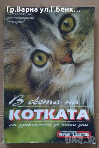 В света на котката  Атанас Стаменов 8лв, снимка 1 - Специализирана литература - 49169653