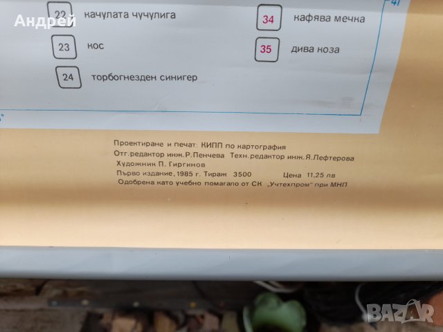 Стара учебна карта Защитени животински видове, снимка 6 - Други ценни предмети - 37982203